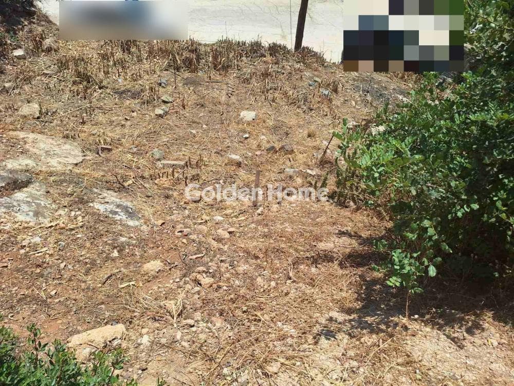 Building Plot in Palaiokastro, Gazi — Photo 10 of 13