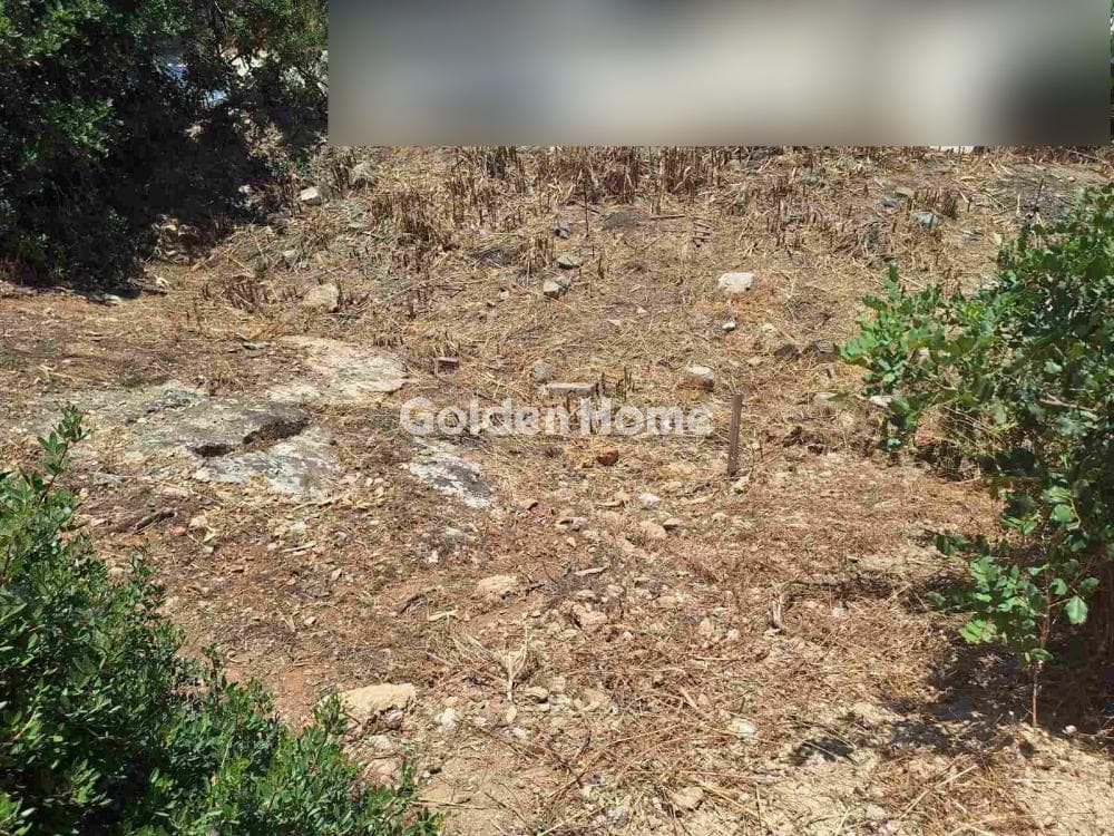 Building Plot in Palaiokastro, Gazi — Photo 13 of 13