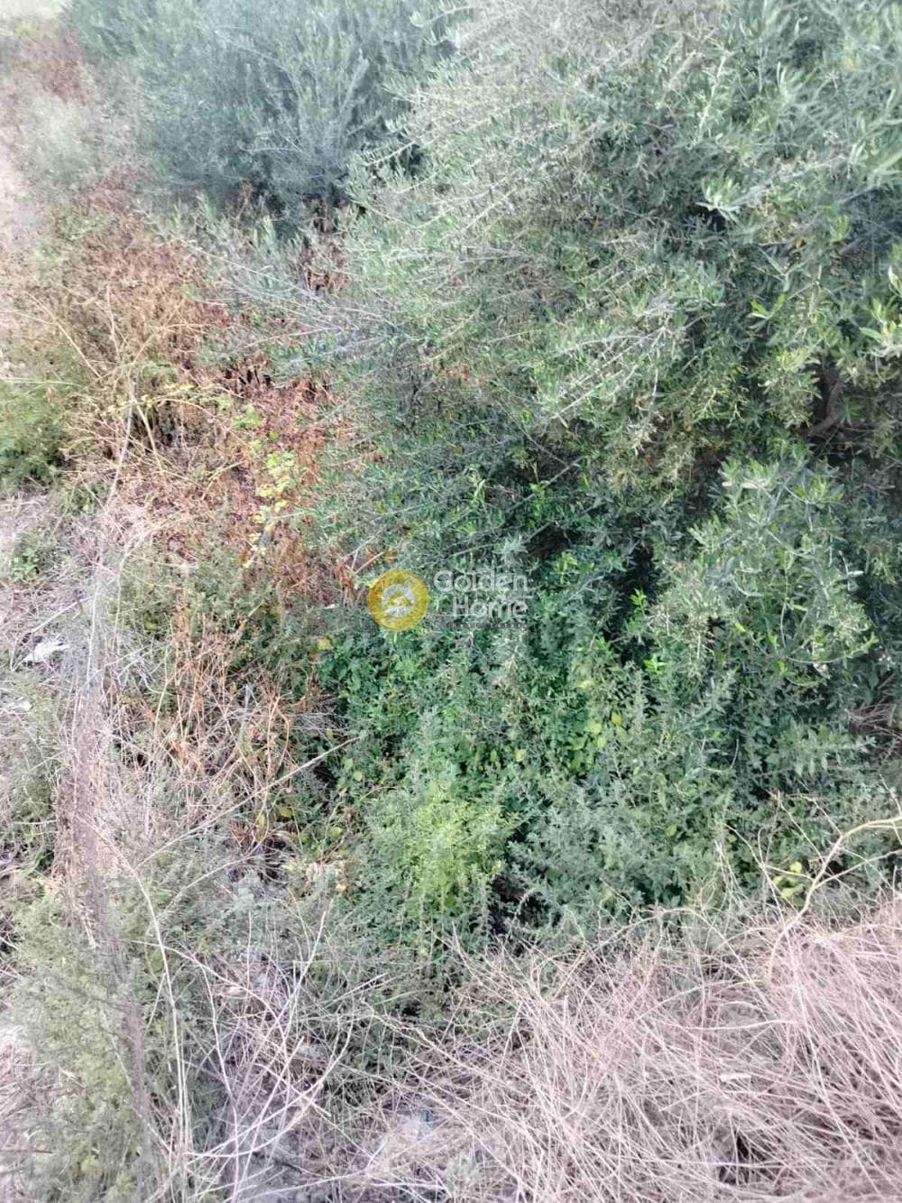 Building Plot in Center, Gazi — Photo 1 of 7