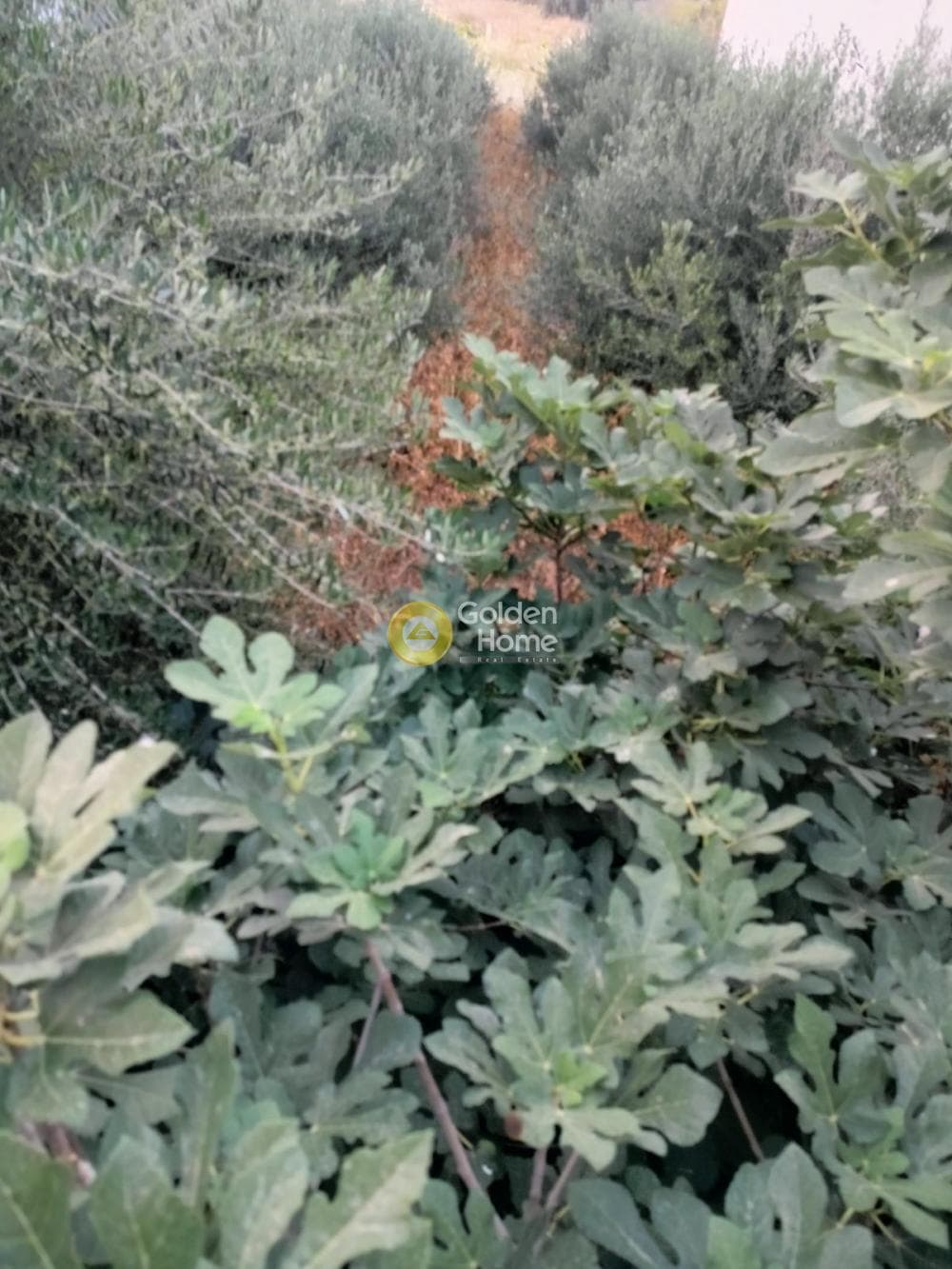 Building Plot in Center, Gazi — Photo 2 of 7