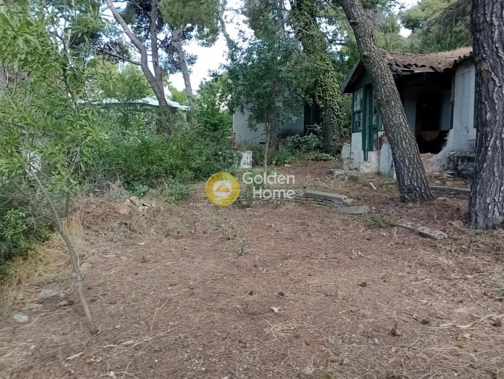 Building Plot in Dasos Kouremenou, Agios Stefanos — Photo 1 of 6
