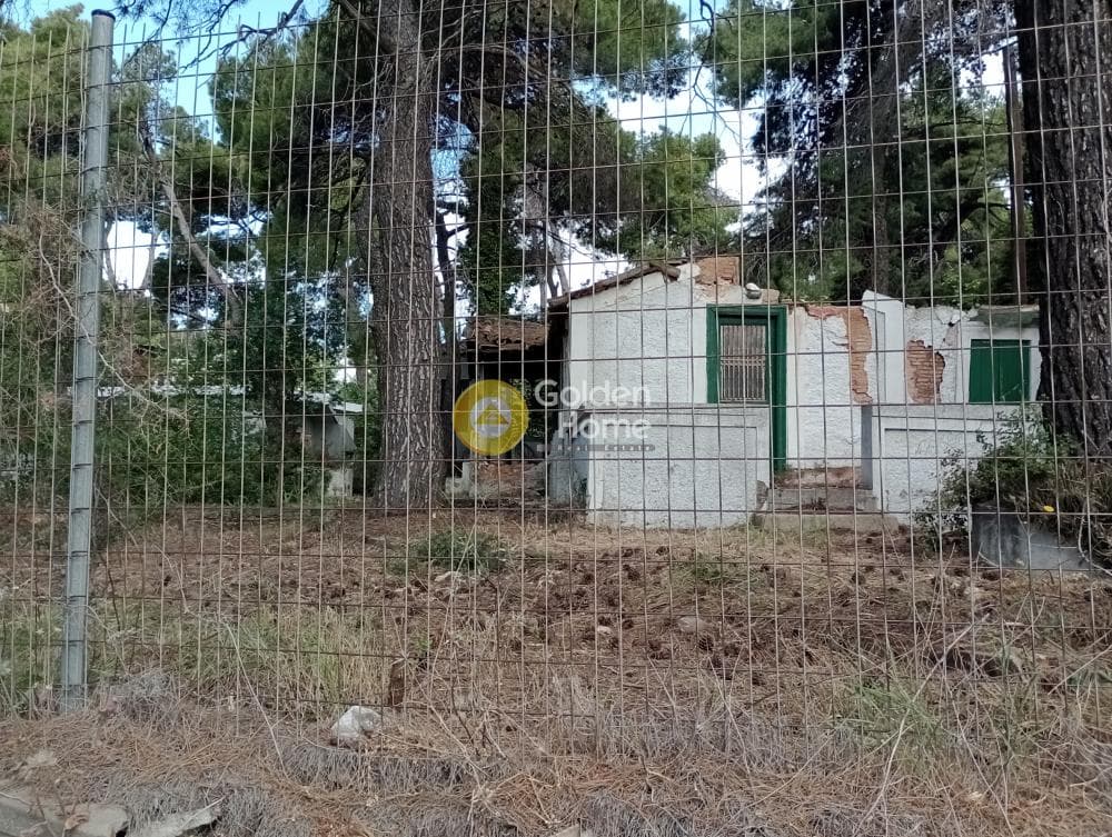 Building Plot in Dasos Kouremenou, Agios Stefanos — Photo 3 of 6