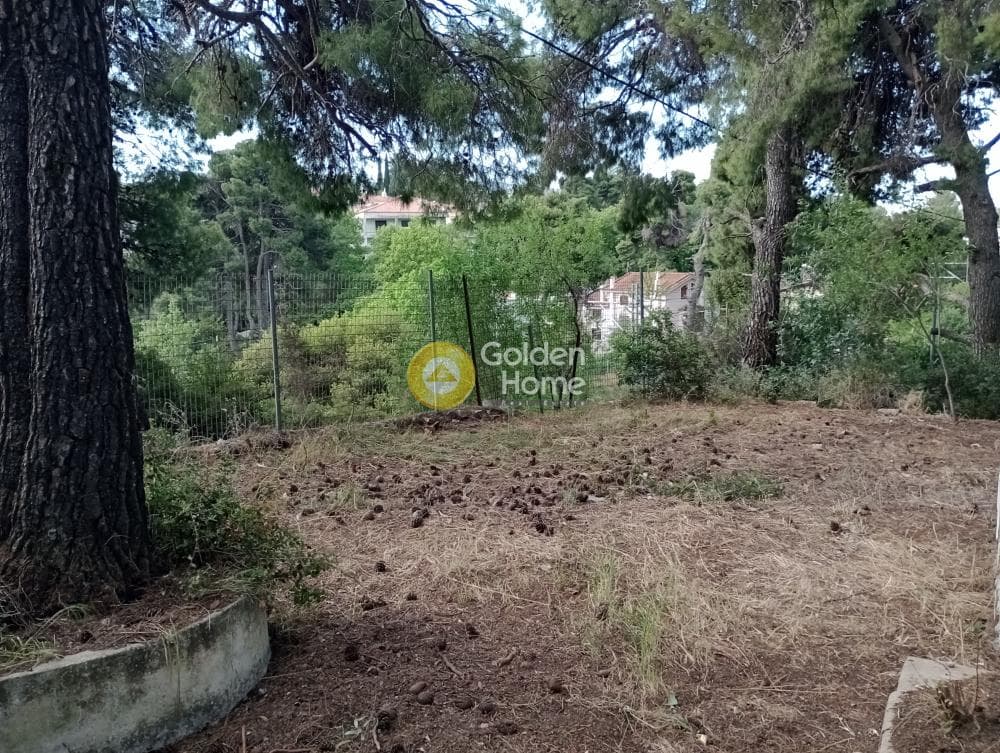 Building Plot in Dasos Kouremenou, Agios Stefanos — Photo 5 of 6