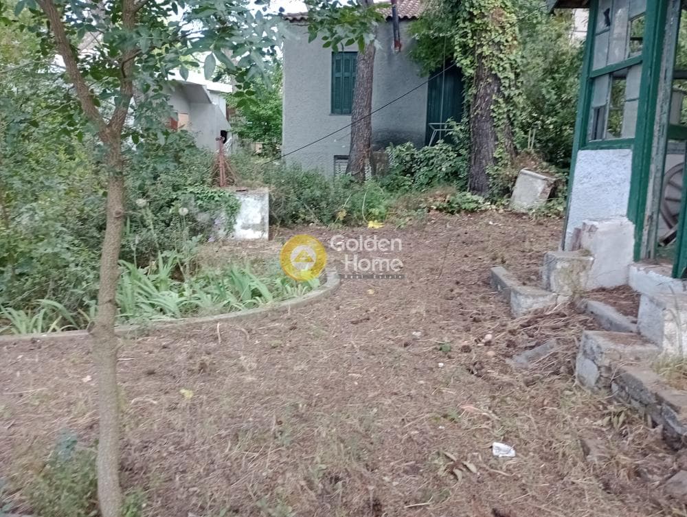 Building Plot in Dasos Kouremenou, Agios Stefanos — Photo 6 of 6