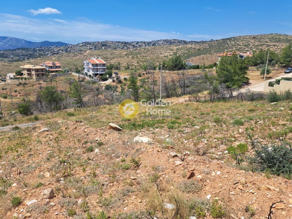 Οικόπεδο στην Δασαμάρι, Πικέρμι — Φωτογραφία 7 από 8