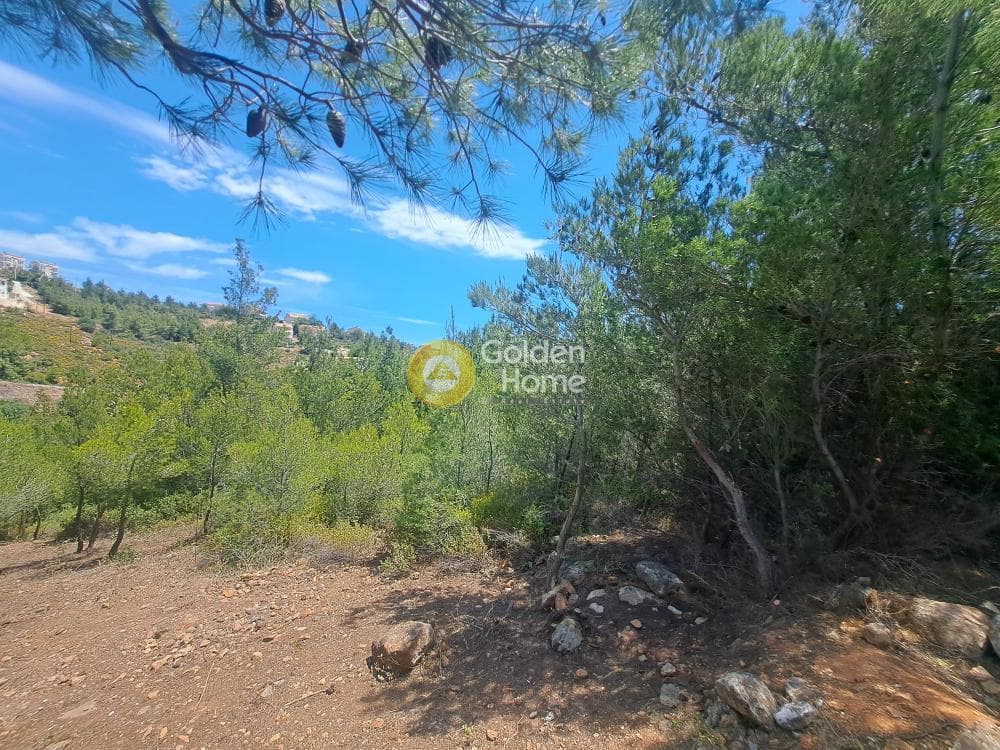 Οικόπεδο στην Δασαμάρι, Πικέρμι — Φωτογραφία 6 από 10