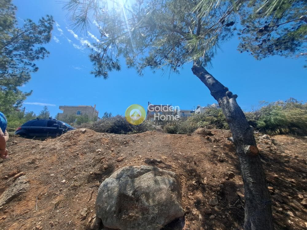 Οικόπεδο στην Δασαμάρι, Πικέρμι — Φωτογραφία 2 από 10