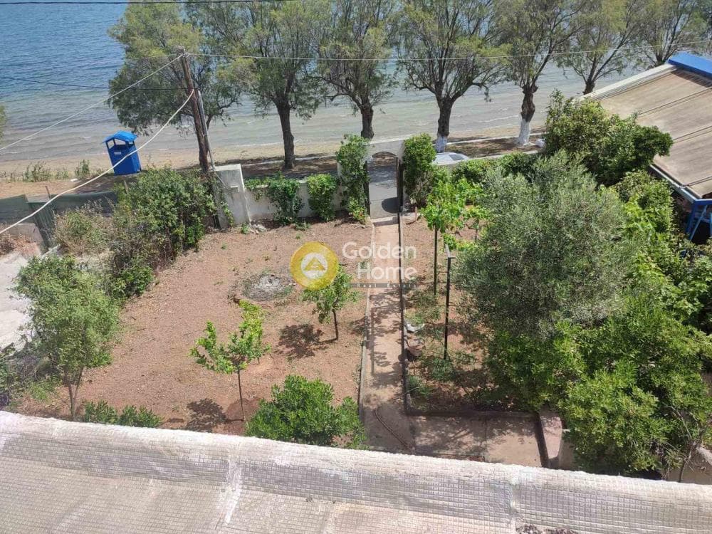 Μονοκατοικία στην Παραλία Αυλίδας, Τανάγρα — Φωτογραφία 1 από 10