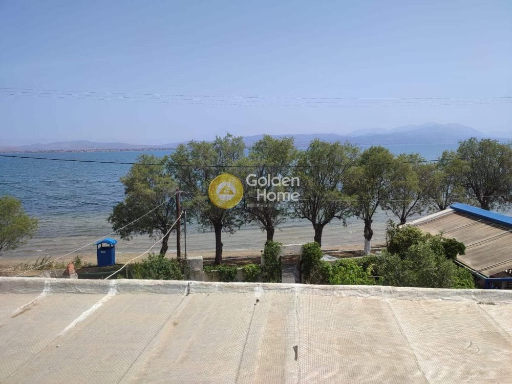 Μονοκατοικία στην Παραλία Αυλίδας, Τανάγρα — Φωτογραφία 3 από 10