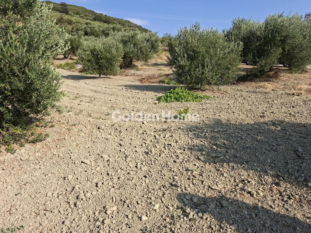 Building Plot in Choudetsi, Archanes — Photo 5 of 9