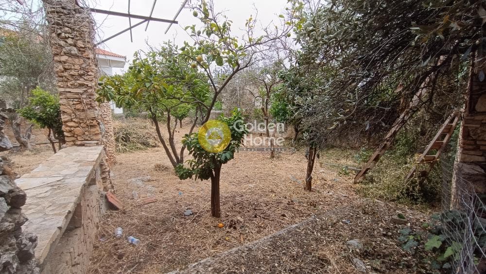House in Agia Triada, Paiania — Photo 21 of 23