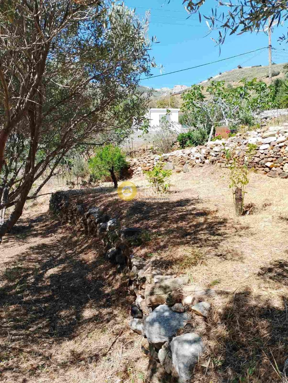 Μονοκατοικία στην Απόλλωνας, Νάξος - Δρυμαλία — Φωτογραφία 14 από 23