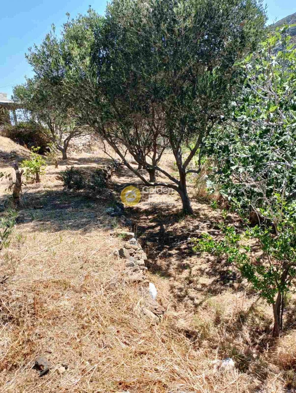 Μονοκατοικία στην Απόλλωνας, Νάξος - Δρυμαλία — Φωτογραφία 15 από 23