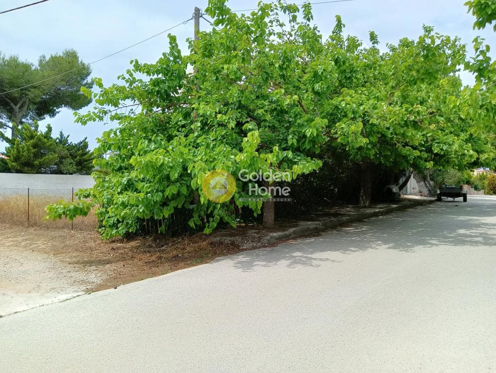 Οικόπεδο στην Κέντρο, Αρτέμιδα (Λούτσα) — Φωτογραφία 5 από 10