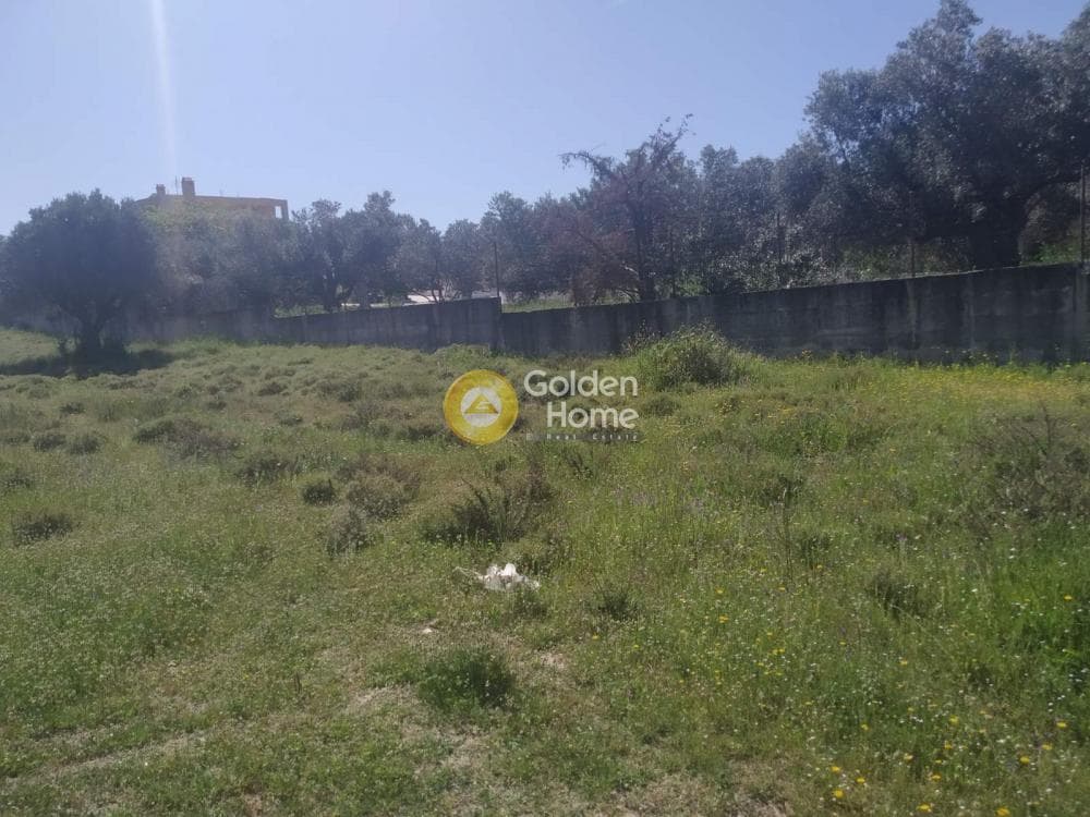 Parcel in Manoutso, Keratea — Photo 1 of 3