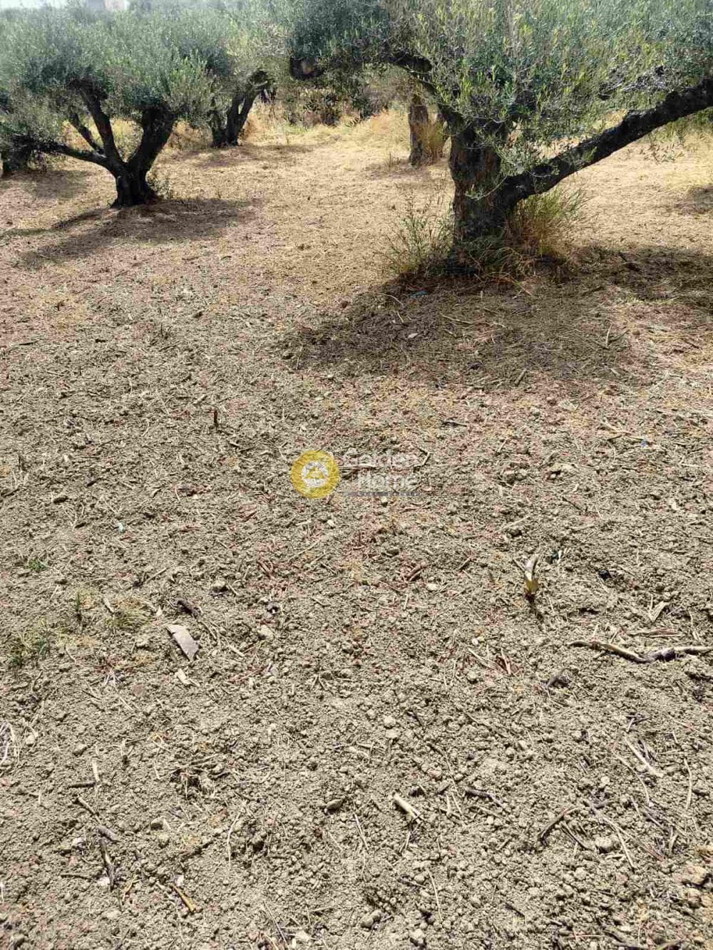 Building Plot in Agioi Theodoroi, Gazi — Photo 1 of 5