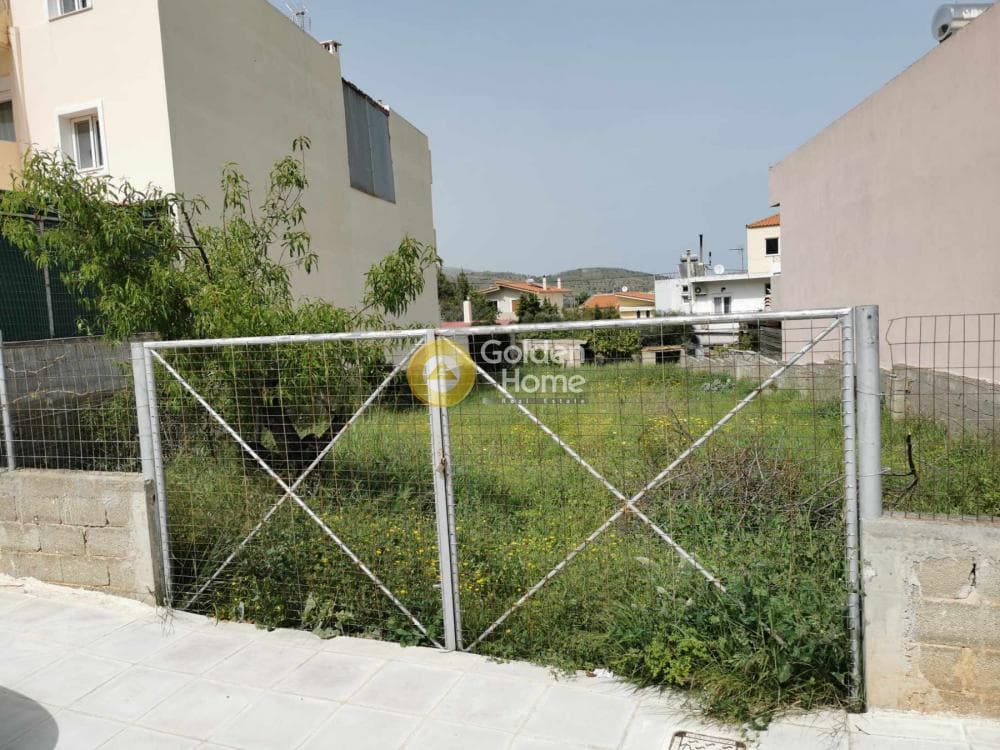 Οικόπεδο στην Βένιο Δασκαλειού, Κερατέα — Φωτογραφία 4 από 5