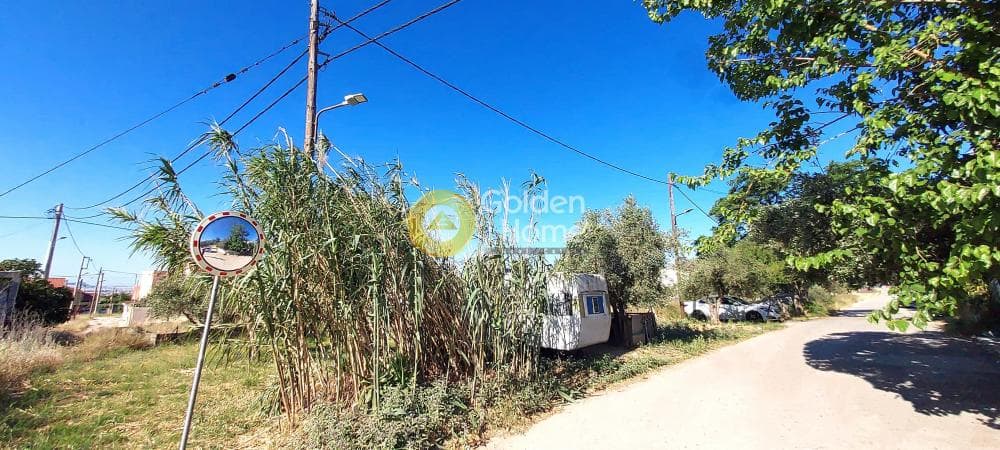 Building Plot in Megala Sxoinia A, Acharnes — Photo 4 of 4