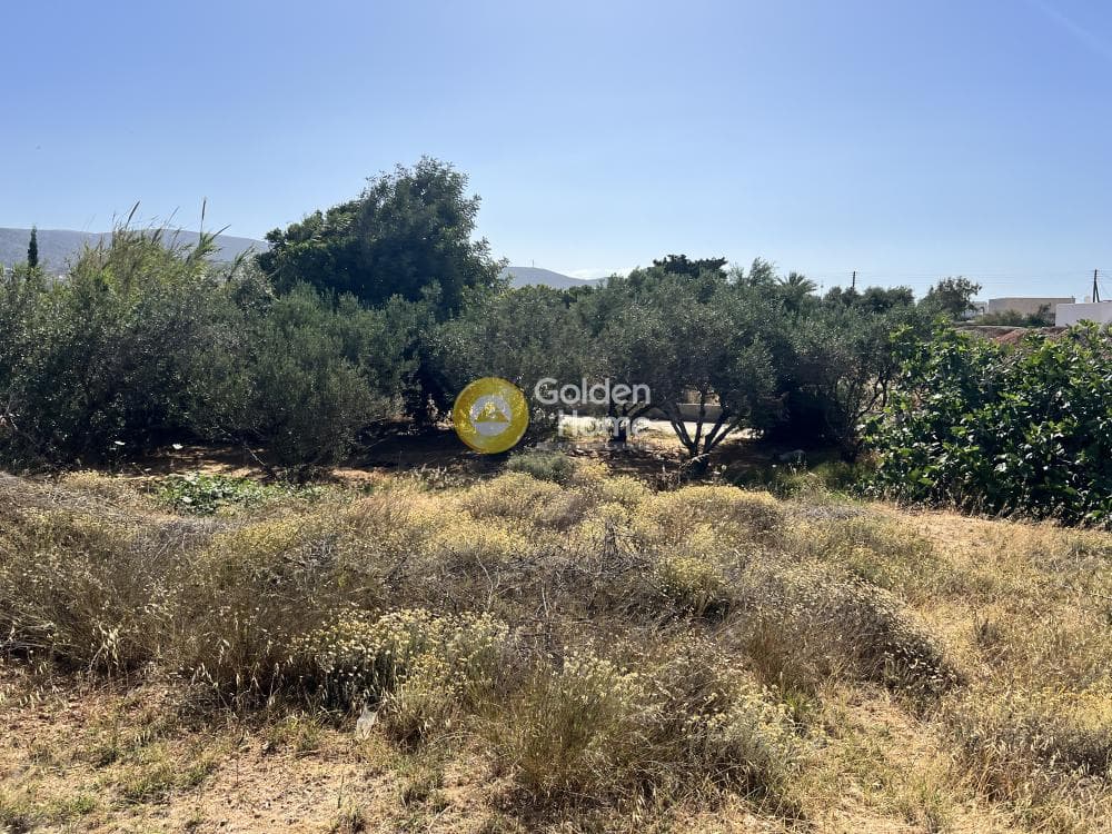 Οικόπεδο στην Αλυκή, Πάρος — Φωτογραφία 1 από 4