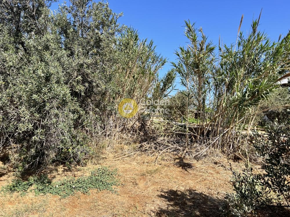 Οικόπεδο στην Αλυκή, Πάρος — Φωτογραφία 4 από 4