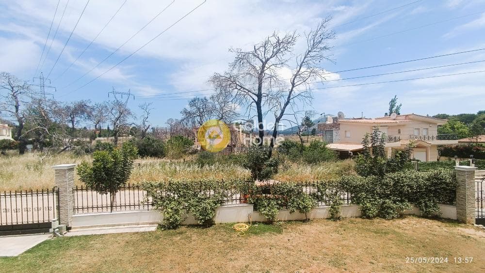 House in Megala Sxoinia A, Acharnes — Photo 2 of 44