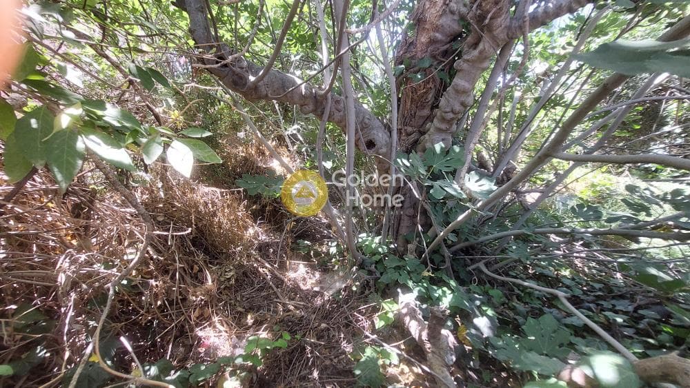 Οικόπεδο στην Κέντρο, Αρτέμιδα (Λούτσα) — Φωτογραφία 3 από 5