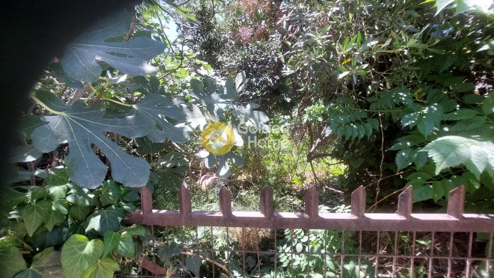 Οικόπεδο στην Κέντρο, Αρτέμιδα (Λούτσα) — Φωτογραφία 4 από 5