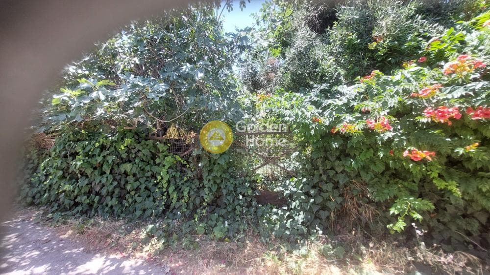 Οικόπεδο στην Κέντρο, Αρτέμιδα (Λούτσα) — Φωτογραφία 5 από 5