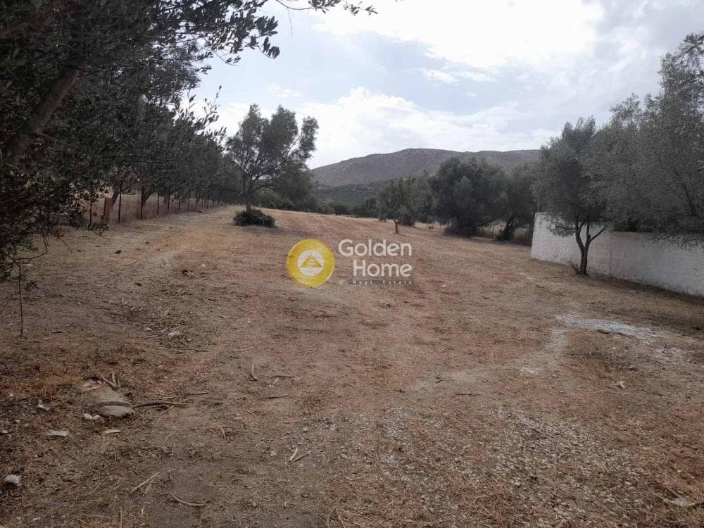Αγροτεμάχιο στην Κεφλαίικα, Καλύβια Θορικού — Φωτογραφία 1 από 3