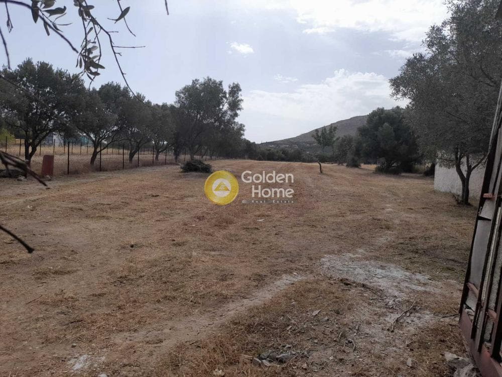 Αγροτεμάχιο στην Κεφλαίικα, Καλύβια Θορικού — Φωτογραφία 2 από 3
