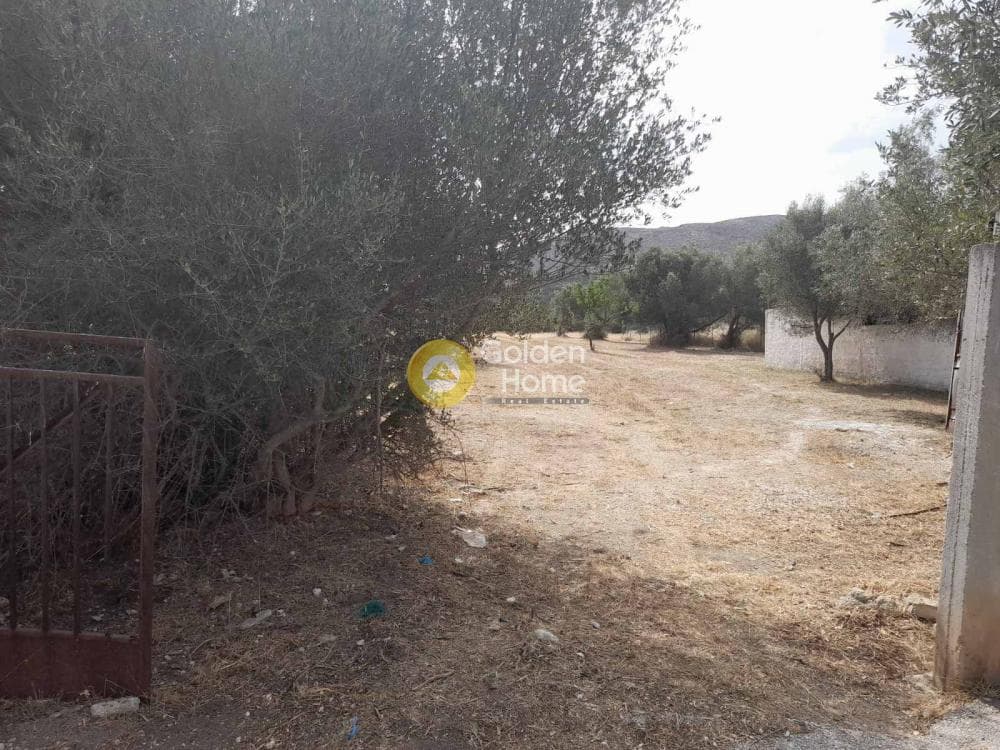 Αγροτεμάχιο στην Κεφλαίικα, Καλύβια Θορικού — Φωτογραφία 3 από 3