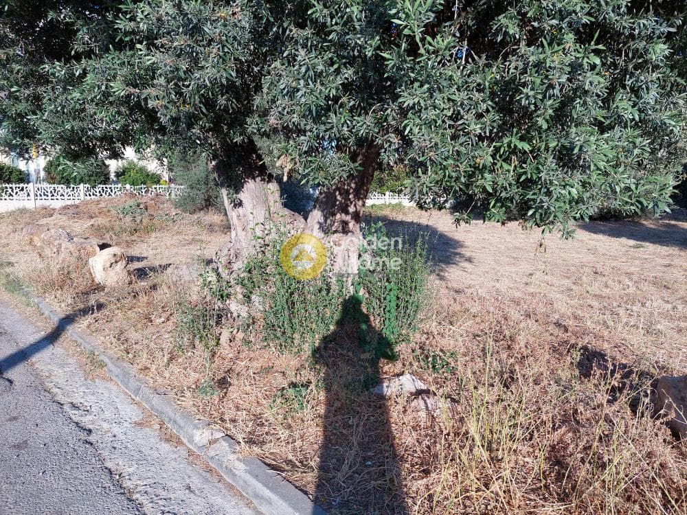 Building Plot in Ikismos Aiolos, Rafina — Photo 6 of 10