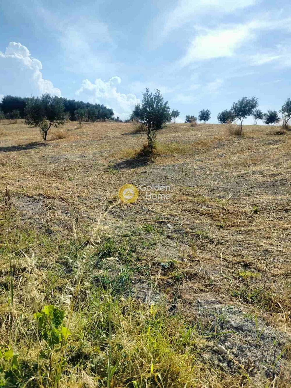 Οικόπεδο στην Κάτω Καλέσια, Τέμενος — Φωτογραφία 1 από 5