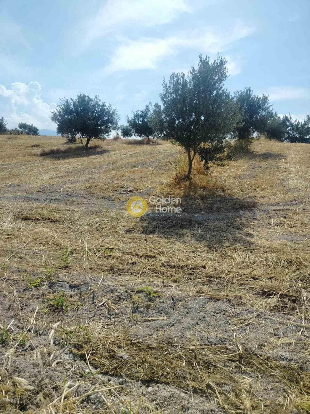 Οικόπεδο στην Κάτω Καλέσια, Τέμενος — Φωτογραφία 2 από 5