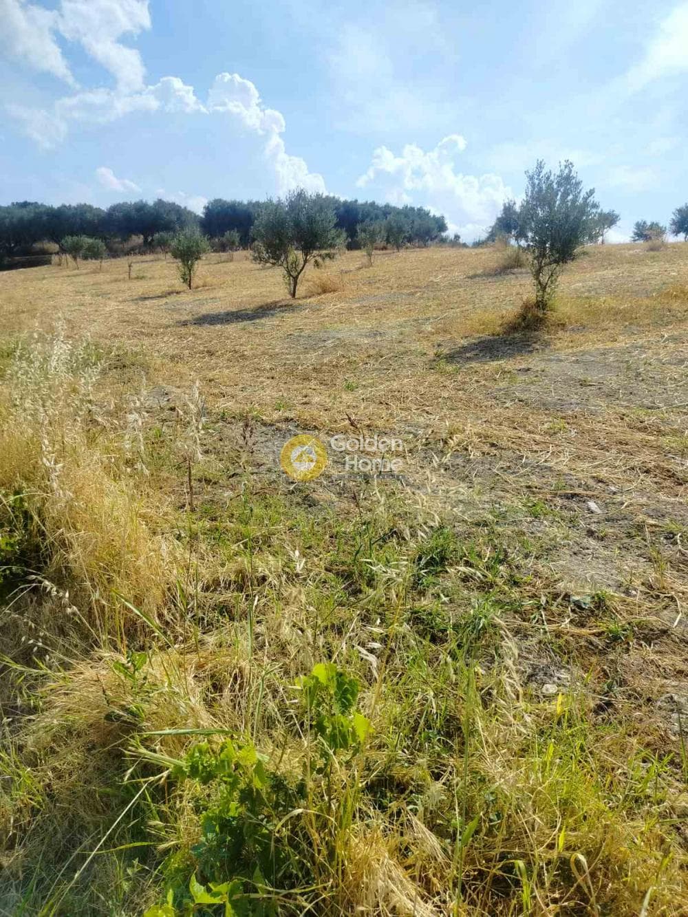 Οικόπεδο στην Κάτω Καλέσια, Τέμενος — Φωτογραφία 3 από 5