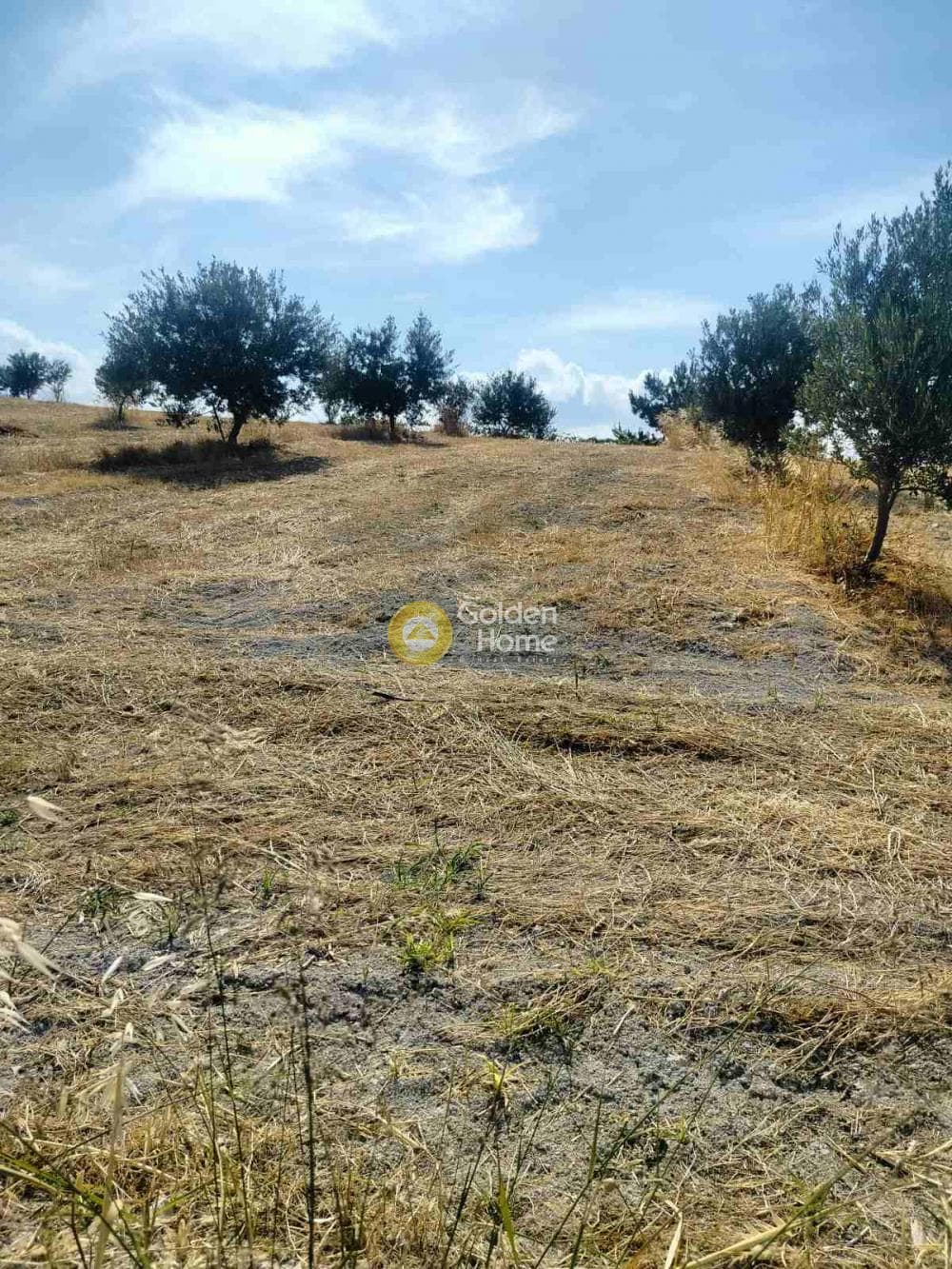 Οικόπεδο στην Κάτω Καλέσια, Τέμενος — Φωτογραφία 4 από 5