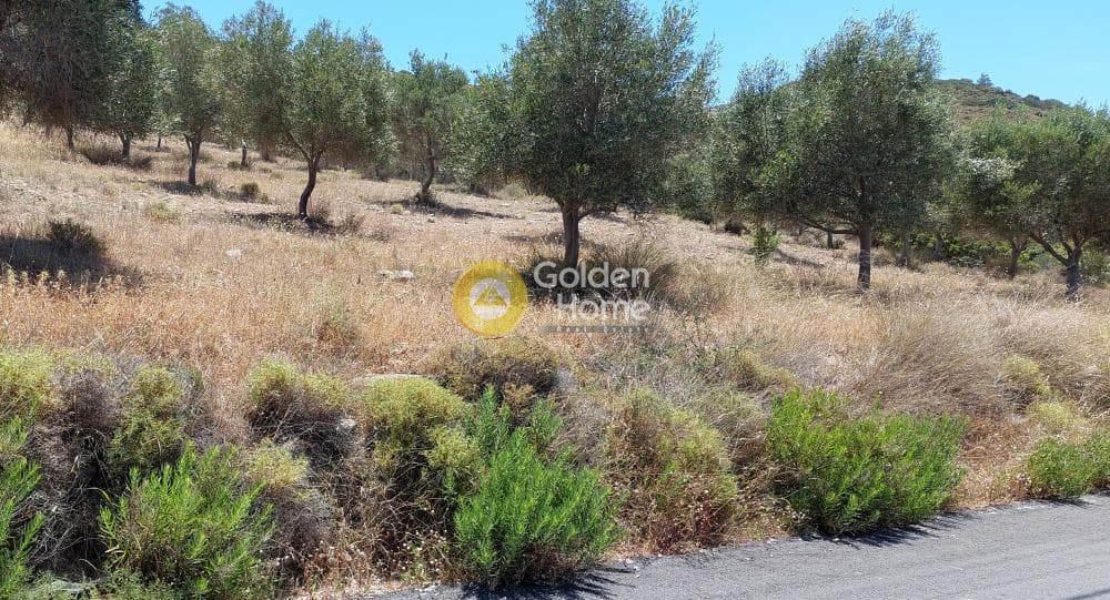 Parcel in Dipseliza, Keratea — Photo 1 of 7