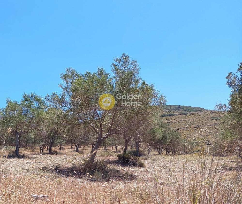 Parcel in Dipseliza, Keratea — Photo 4 of 7