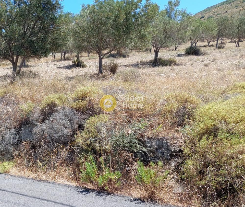 Parcel in Dipseliza, Keratea — Photo 2 of 7