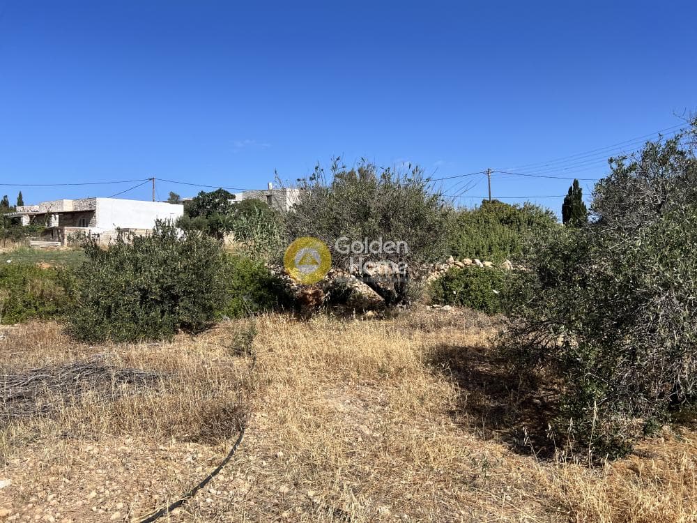 Οικόπεδο στην Αλυκή, Πάρος — Φωτογραφία 1 από 8