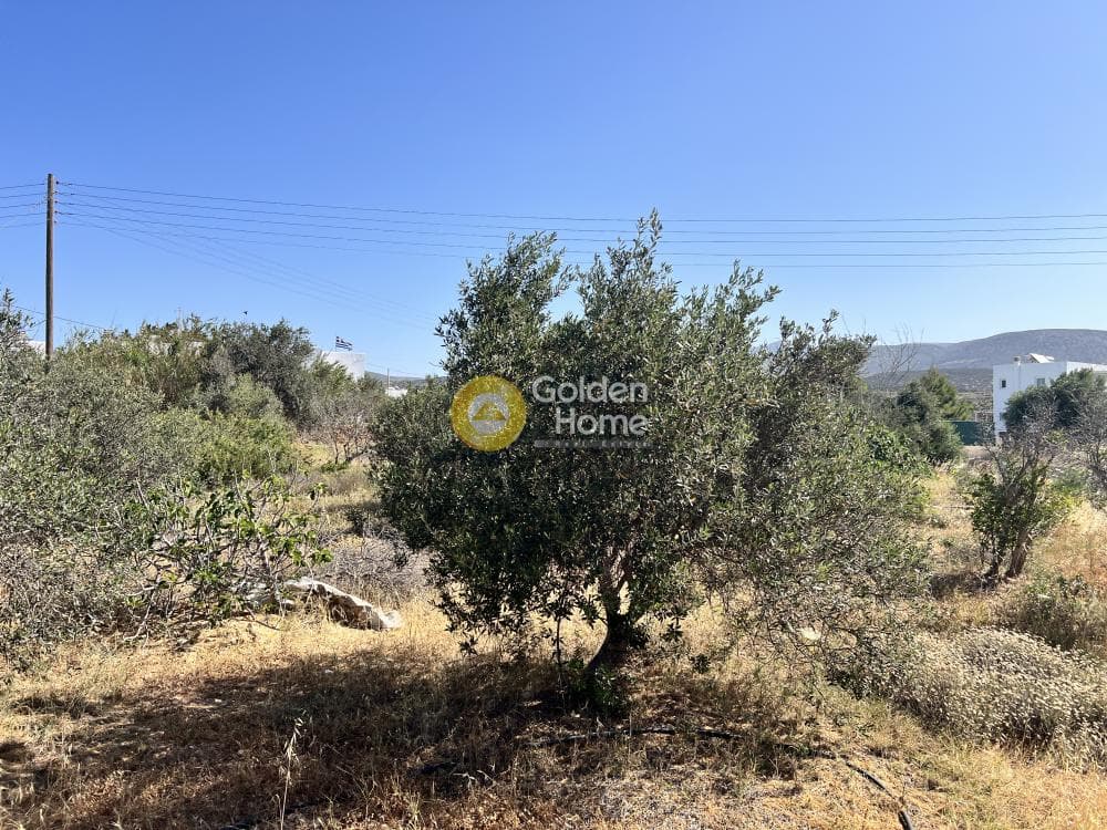 Οικόπεδο στην Αλυκή, Πάρος — Φωτογραφία 4 από 8