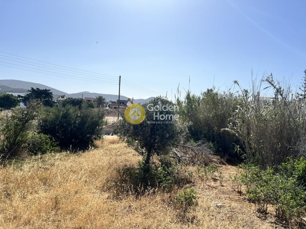 Οικόπεδο στην Αλυκή, Πάρος — Φωτογραφία 5 από 8