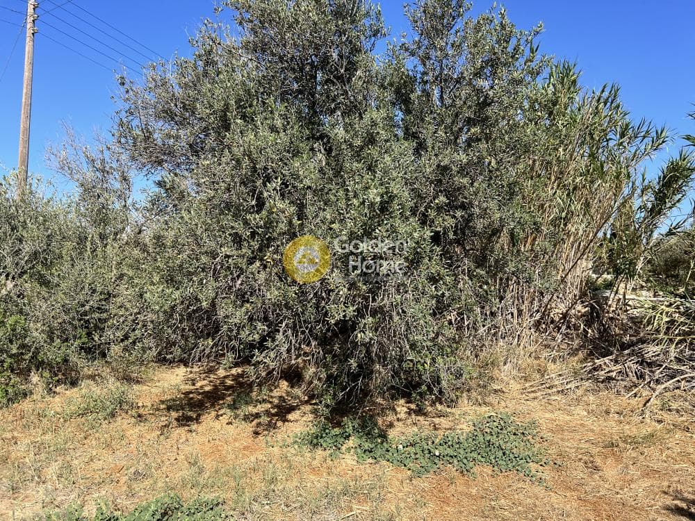 Building Plot in Aliki, Paros — Photo 8 of 8