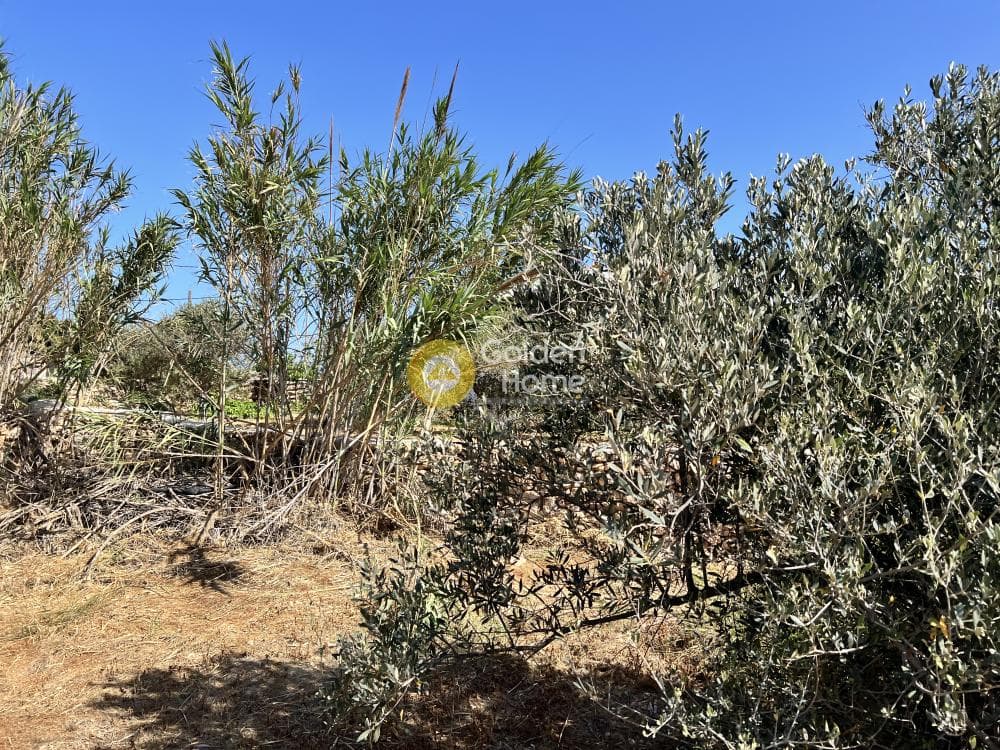 Building Plot in Aliki, Paros — Photo 7 of 8