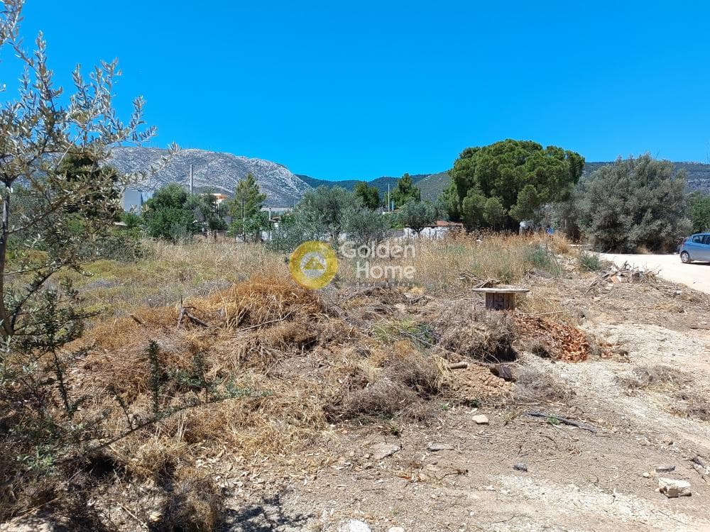 Οικόπεδο στην Αγία Τριάδα, Παιανία — Φωτογραφία 1 από 11