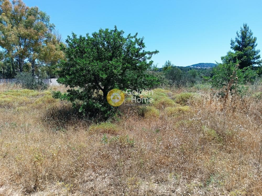 Οικόπεδο στην Αγία Τριάδα, Παιανία — Φωτογραφία 3 από 11