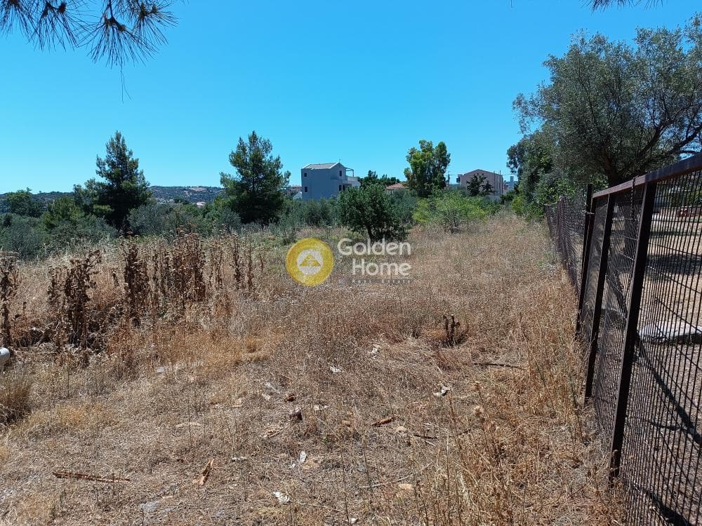 Οικόπεδο στην Αγία Τριάδα, Παιανία — Φωτογραφία 4 από 11