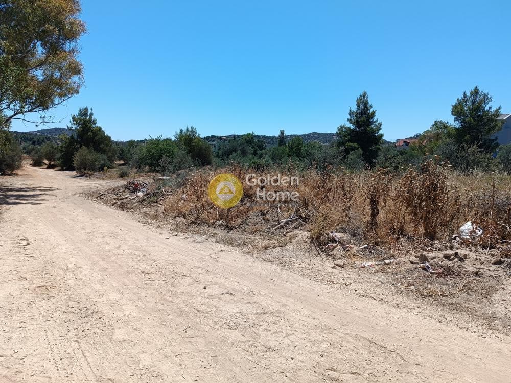 Οικόπεδο στην Αγία Τριάδα, Παιανία — Φωτογραφία 6 από 11