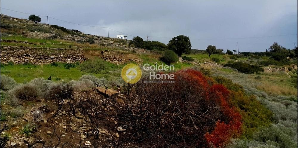 Parcel in Kostos, Paros — Photo 5 of 8