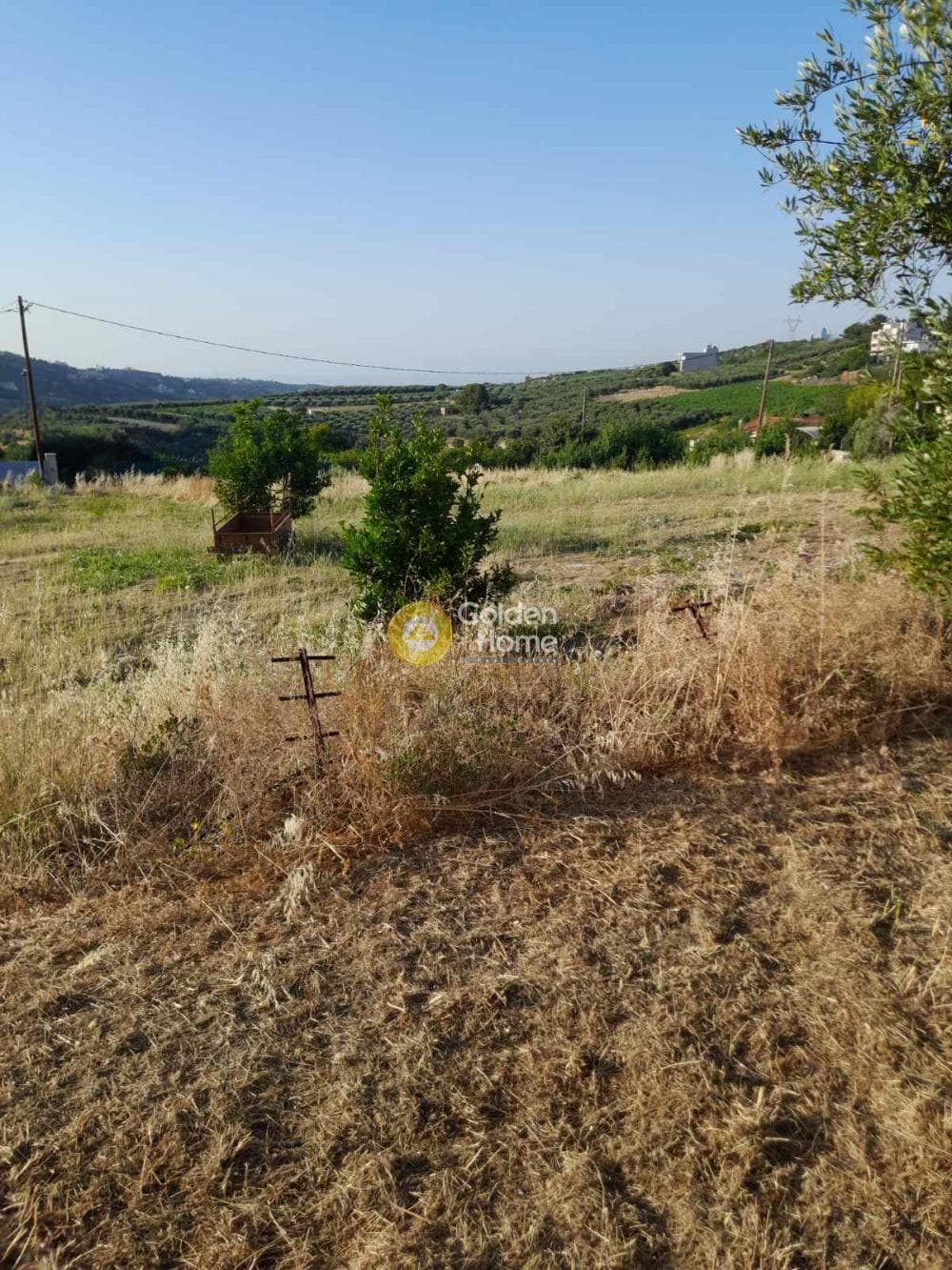 Οικόπεδο στην Σταυράκια, Τετραχώρι — Φωτογραφία 5 από 7